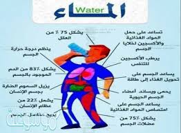 اهمية الماء للجسم