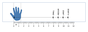 Actual Ruler Size Chart