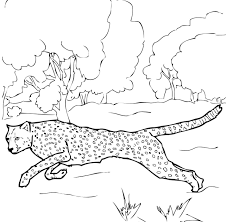 We have collected 36+ cheetah running coloring page images of various designs for you to color. Trends For Cheetah Running Coloring Pages Sugar And Spice