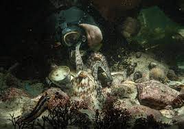 My octopus teacher tells the story of a capetonian film maker and free diver, craig foster who needed a break from a busy schedule that was taking its toll. Interview My Octopus Teacher Co Director Pippa Ehrlich Business Doc Europe