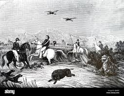 Hunting in british raj hi-res stock photography and images - Alamy
