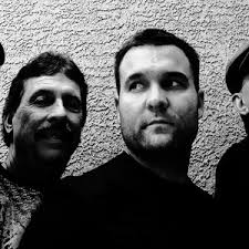 Los Bisontes Revival Bunch music, videos, stats, and photos