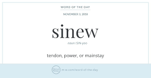 A a's amd amd's aol aol's aws aws's aachen aachen's aaliyah aaliyah's aaron aaron's abbas abbas's abbasid abbasid's abbott abbott's abby abby's abdul abdul's abe abe's abel abel's Word Of The Day Sinew Merriam Webster Word Of The Day Words Unusual Words
