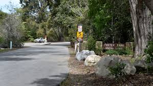Any decision made or action taken or not taken by the user in reliance upon any information or data furnished hereunder. Coronavirus Ventura County Closes Foster Park Over Crowds Parking