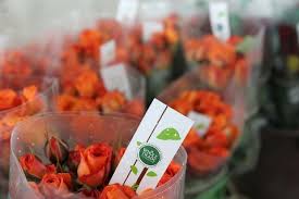 Check spelling or type a new query. Celebrate Mother S Day In Union Square Union Square Partnership