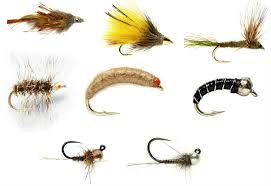See more ideas about trout, fly tying, fly fishing. Top 10 Trout Flies Off 63 Medpharmres Com