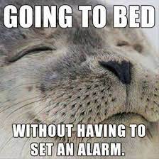 Going To Bed Funny As Duck