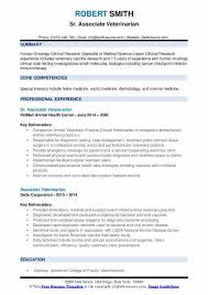 Years in the travel and tourism industry, i have worked across education, tour. Associate Veterinarian Resume Samples Qwikresume