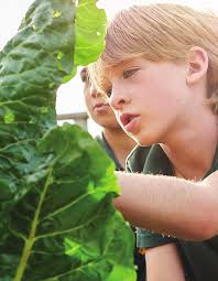 Three cheers for our volunteers