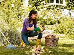Bauhaus ist ihr fachcentrum für werkstatt, haus und garten. Gartenpflege Herbst Bauhaus