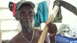 Labor Dept. finds bitterness in sugar workers' lives