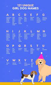 Named after the patron saint of musicians and poets, this female dog will be airy, whimsical and confident! Alphabetically Ordered Dog Names Are Listed Within Choosing A Dog Name Requires The Same Love And Care A Girl Dog Names Girl Dog Names Unique Female Dog Names