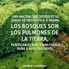 Todas las noticias sobre día medio ambiente publicadas en el país. Https Encrypted Tbn0 Gstatic Com Images Q Tbn And9gcti3u6kq9adlflcfzz8cshm6i Yjkcfy Xm6jbin3ywyrwb3bs Usqp Cau