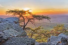 We are a family oriented wilderness getaway welcoming, even encourage, children. Alabama Mountains