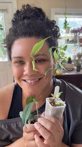 Plant mail is truly the best mail! I am so excited to finally have a  #hoyanabawensis in my collection! Thank you so much @thehoyatrove Also,  thank you TraumaNurseLiz for the incredibly kind gift, you ...