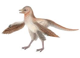 Although scientists consider birds to be the only dinosaur descendants still in existence, there are many other living animals that scientists believe are closer to dinosaurs. New Dinosaur Fossil Challenges Bird Evolution Theory
