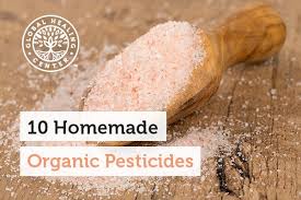 It's important to spray thoroughly for an organic insecticide, miticide, and fungicide: 10 Homemade Organic Pesticides