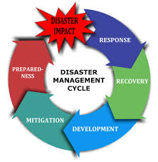 Nursing Disaster Nursing