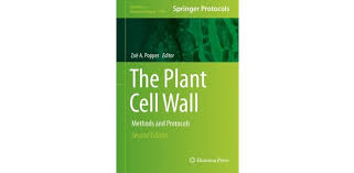 Plant cell wall (pcw) biosynthetic gts are primarily integral transmembrane proteins localized to the numerous activities in the synthesis of the major cell wall matrix glycans, including pectins models of crosslinked plant cell wall polysaccharide networks. Automated Glycan Assembly Of Plant Cell Wall Oligosaccharides Vapourtec