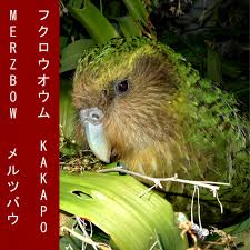 They began garnering recognition in. Lifetime Achievement 7 Albums That Show The Many Sides Of Merzbow Bandcamp Daily