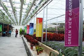 Green View Garden Cameron Highlands Ticket Price Timings Address Triphobo