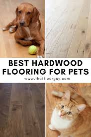 Wood Floors For Pets In 2020 Hardwood Floors Types Of Hardwood Floors Hardwood
