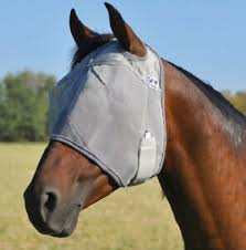 Details About Cashel Crusader Cool Fly Mask Standard Foal Mini Miniature Horse Sun Protection