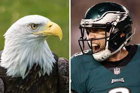 Many people believe hotel california is about a mental institution called the camarillo, but the eagles say it's about materialism and excess. The Philadelphia Eagles And Their Winged Mascot Have More In Common Than You Might Think