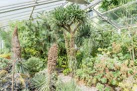 Botanischer garten öffnungszeiten freiland täglich von 8 00 16 00 uhr juni bis august. Botanischer Garten Erlangen Fotos Botanischer Garten