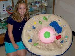 We did not find results for: Incredible Cell Project Ideas Ppt Video Online Download