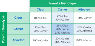 Multidrug Resistance 1 Mdr1 Dna Testing Canine Health