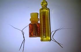 Sebelum melakukan aktivitas kelebihan dan manfaat bulu perindu yakni berkhasiat untuk meningkatkan iner biuty, sehingga akan dapat membuat wajah kita akan tampak tampan. Mengenal Bulu Perindu Bisa Pelet Lawan Jenis Hingga Penglaris Usaha Benarkah Rumah123 Com