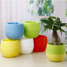 Kami merekomendasikan, antara lain, pot kaktus merah. Pot Bunga Plastik Mini Pot Bunga Hias Kaktus Tanaman Pot Bunga Unik Hiasan Dekorasi Kamar Diameter Luar 6 5cm Diameter Dalam 5cm Tinggi 6 9cm Lazada Indonesia