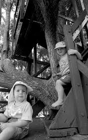 Remember Toowoomba When Who Remembers Playing In The Awesome Multi Level Tree House At Willow Springs Adventure Park Cool Tree Houses Toowoomba Tree House