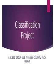Classification Project 1 Pptx Classification Project 6 01