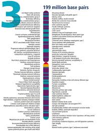 Pin By Info On Chromosomes Human Genome Molecular Genetics Chromosome 6