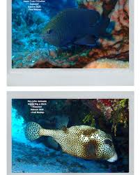 Ocean Nomads (@oceannomads) • Instagram photos and videos