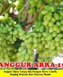 We did not find results for: Anggur Arra 15 Tanaman Anggur Hijau Import Tanpa Biji Dengan Tampilan Berry Cantik Daging Renyah Di 2021 Anggur Hijau Anggur Hijau