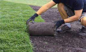 It is very hot and sometimes drought prone depending on your location. How To Lay Sod One Step At A Time Duda Sod