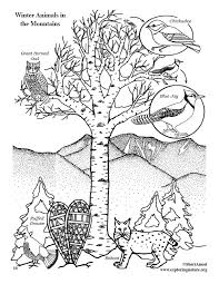 Jan 17, 2021 · these free printable winter animal coloring pages for adults are the perfect way to relax on a long, dark winter night! Winter Animals In The Mountains Coloring Page
