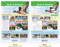 W94 4710 Mammals Birds Bulletin Board Chart