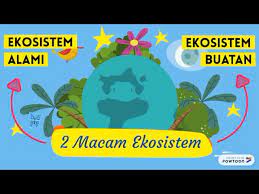 Video Pembelajaran Ekosistem Kelas 5 Tema 5 Subtema 1 Youtube