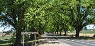 Our partners allow you to book online your hotel, bed and breakfast or apartment in bacchus marsh. Bacchus Marsh Information Travel Victoria Accommodation Visitor Guide