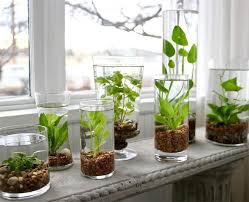 10 Amazing Indoor Garden Ideas To Instantly Refresh Your Space Inspiration Furniture And Choice