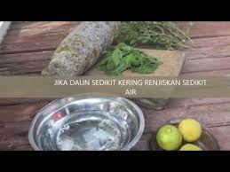 Cara² membuat bancuhan inai asli dari pokok inai. Penyediaan Inai Secara Tradisional Mykif