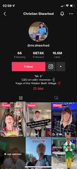 Has anyone else been keeping up with this guy and @edenthedoll?? Backstory  and feelings in comments. : rtiktokgossip