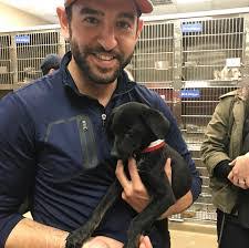 Luke Maddox's Instagram, Twitter & Facebook