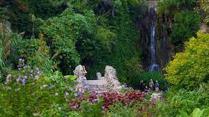 Waterfall At The Japanese Tea Garden