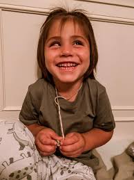 What are the differences between palmate and costapalmate leaves?