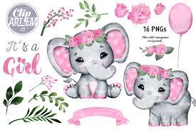 Pink Floral Girl Elephant Baby Shower 16 Png Images Set By Clipartem Thehungryjpeg Com